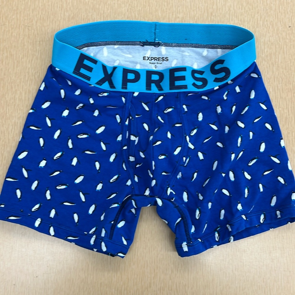 NWOT Express boxer brief